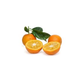 Bitterorange Extrakt (Citrus Aurantium)